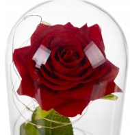 Wieczne róże w szklanych kasetonach LED