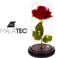 Wieczne róże w szklanych kasetonach LED