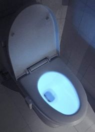 Kolorowe światło toaletowe LED z czujnikiem ruchu - 8 kolorów
