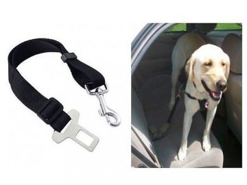 Pas bezpieczeństwa dla psa